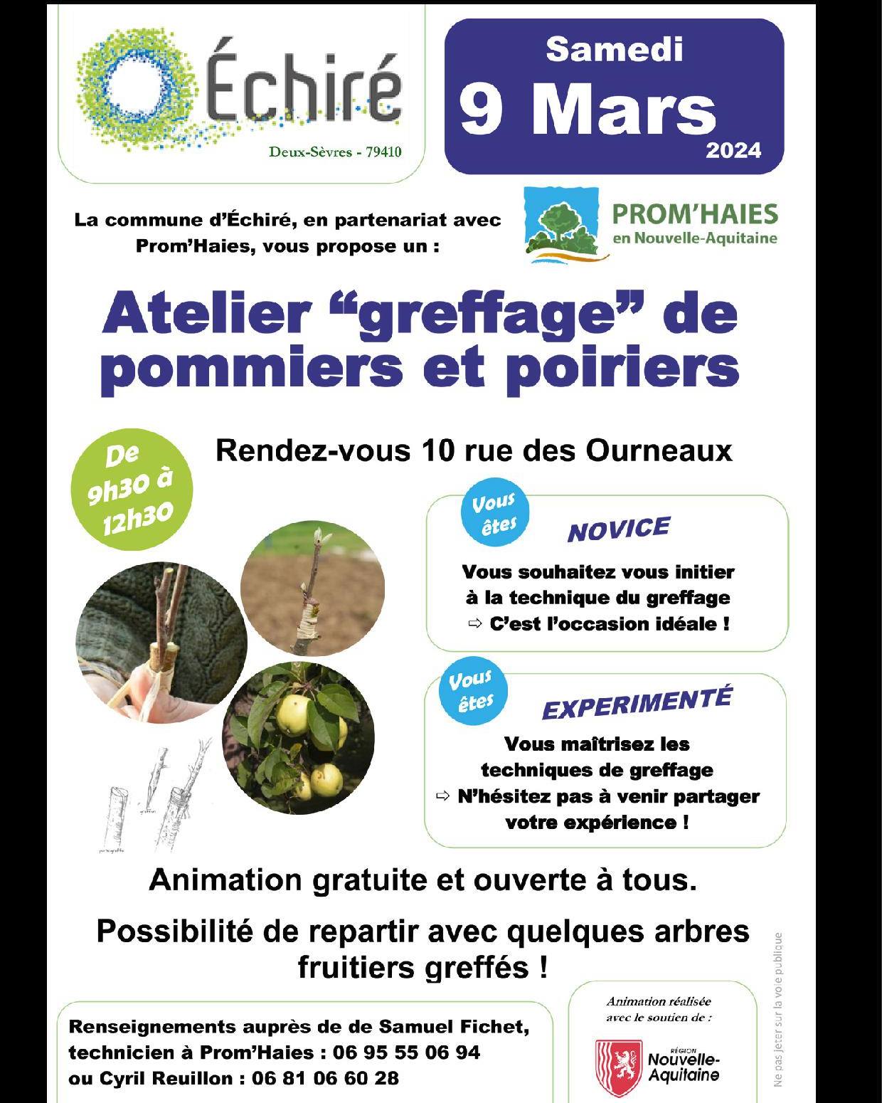 Atelier greffage de pommiers et poiriers Mairie d Echiré 79